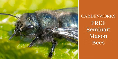 FREE Seminar: Mason Bees at GARDENWORKS Burnaby-Mandeville