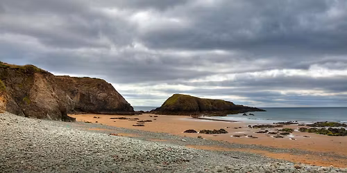 Beach Clean Up + Art By the Sea