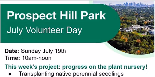 Prospect Hill Park Volunteer Event:  Plant Nursery