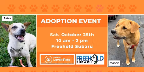 Yappy Hour at Bar Bella