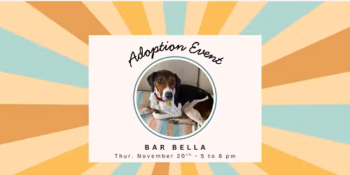 Yappy Hour at Bar Bella