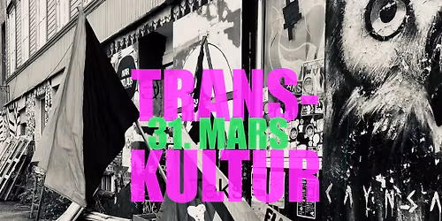 TRANS-KULTUR - synlighet p\u00e5 Ivar Matlaus