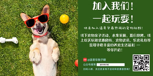 \u6e29\u54e5\u534e\u72d7\u5b50\u7fa42026\u590f\u65e5\u84dd\u8393\u56ed\u6e38\u4f1a