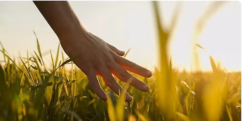 Grounding Workshop - Connected to the earth.
