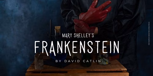 MARY SHELLEY'S FRANKENSTEIN by David Catlin