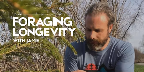 Foraging Longevity