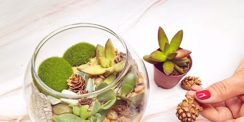 Make your own Terrarium!