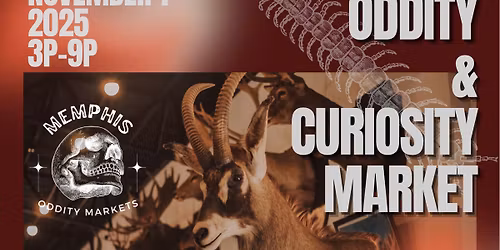 Memphis Oddity & Curiosity Market - Nov 1