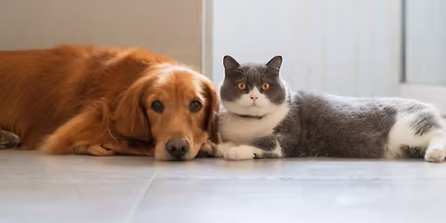 Adopt-a-thon