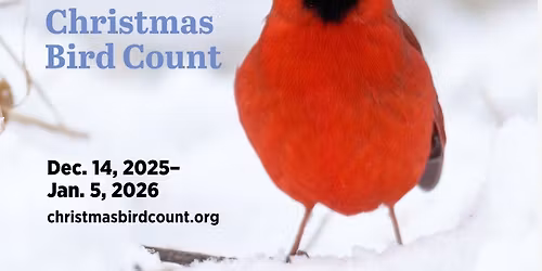 Annual Christmas Bird Count 2025