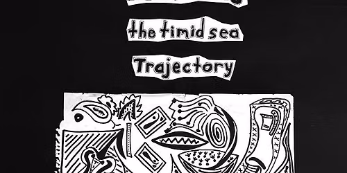 Donna Amini, Doldrums, the timid sea, Trajectory