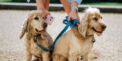 Gunnersbury Family Dog Show