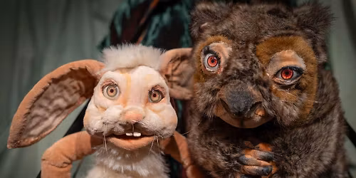 Hasen pfeifen nicht (4+) \/ Nicole Gospodarek