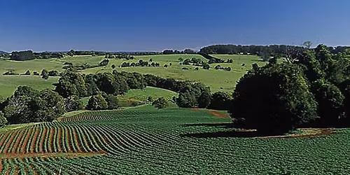 Robertson Country Market