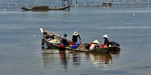 Unlocking the Blue Revolution: Aquatic food systems as the next frontier