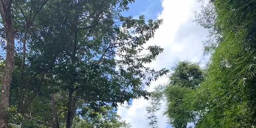 A1C: (3 DAYS) Kampot, Cambodia: Bokor Mountain, Rabbit Island, Waterfalls, Plantations