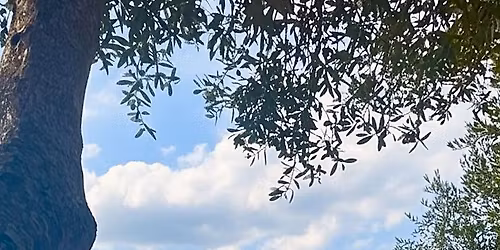 Jooga & vaellusretriitti Pohjois-Italiassa 7.5.2026-11.5.2026