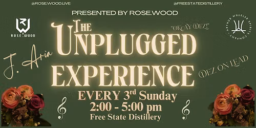 The Unplugged Experience