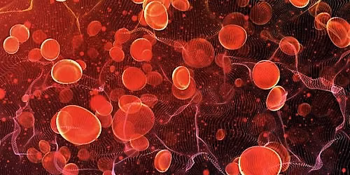Fundamentals in Haematology Education Course 2026