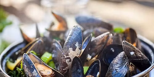 *French Bouchot Mussle Eating *