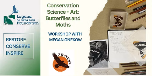 Conservation Science + Art: Butterflies & Moths with Megan Gnekow