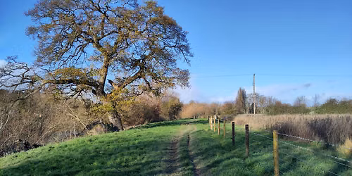 Nature Reserve Work Party - Bartonsham Meadows