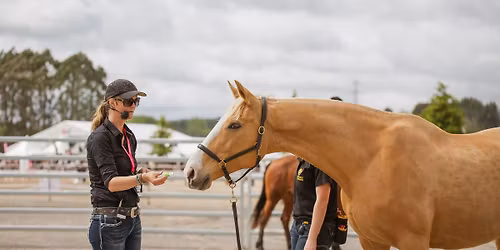 Otaki: Positive reinforcement training with your horse