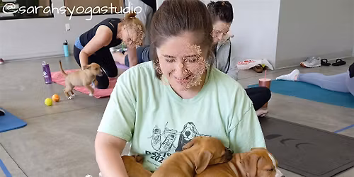 Free Puppy Yoga at CDJR of Columbia with Sarah's Yoga Studio