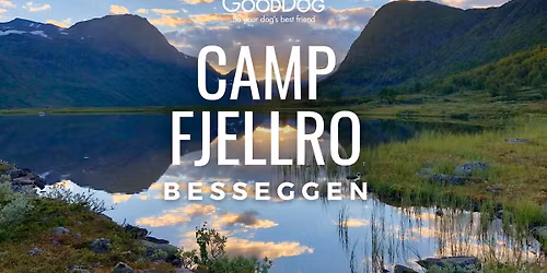 Camp Fjellro