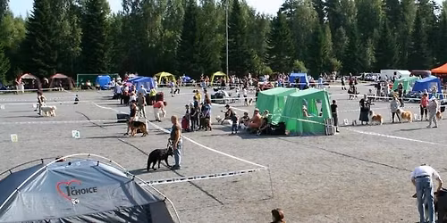 Tampereen kansainv\u00e4linen koiran\u00e4yttely 2026