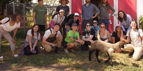 Wildlings Forest Sanctuary Work Day