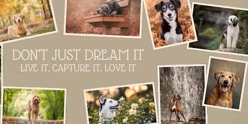 Pet Holiday Tree Farm Session