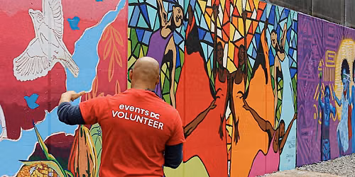 Volunteer with Events DC WalkingTown
