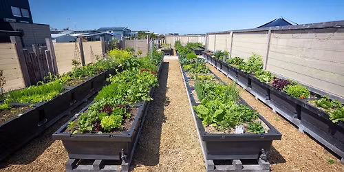 Xmas in The Farm - Farm Members Day 