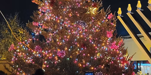 Bethpage Holiday Lighting