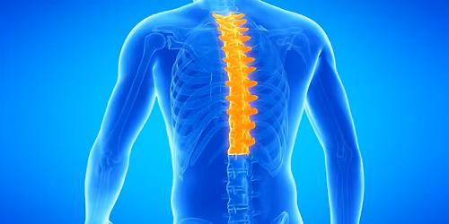 CBP\u00ae Thoracic Rehab