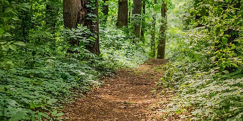 Park Pals: Celebrate National Trails Day