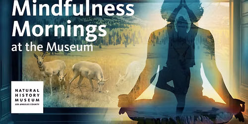 Mindfulness Mornings at the Natural History Museum