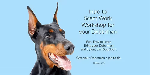 Intro workshop to Scent Work
