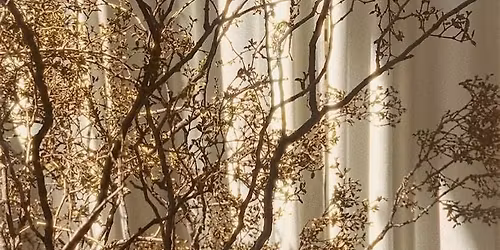 RITUALS ~ A Tea Lounge Pop Up