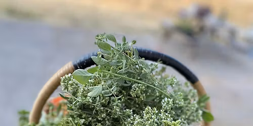 Grow Your Own Herbs Gardening Workshop