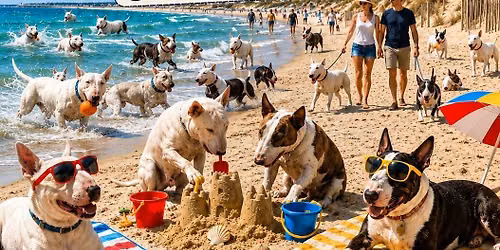 journ\u00e9e du Bull Terrier