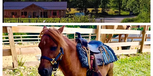 Mini Horse Beverage Service & Photo Booth at Hickory Vines 
