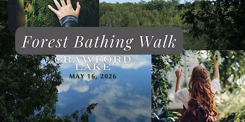 Crawford Lake Forest Bathing Walk