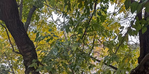 \u7d0d\u3081\u7a3d\u53e4\u8c9d!NY\u9727\u5cf6\u978d\u99ac\u5bae\u5cf6\u306e\u8fd1\u6cc1\u5949\u544a\uff06\u6765\u5e74\u306e\u304a\u8a71\u30b9\u30da\u30b7\u30e3\u30eb\ud83d\udc1a12\u670823\u65e5\uff08\u706b\uff0919\u6642\u534a\u301c21\u6642\u534a\uff0a16\u6642\u304b\u3089\u500b\u4eba\u7a3d\u53e4\u3082\u6e96\u5099\u4e2d\u3002\u7a3d\u53e4\u7d42\u4e86\u5f8c\u7d0d\u4f1a\u3042\u308a\u307e\u3059\u3002