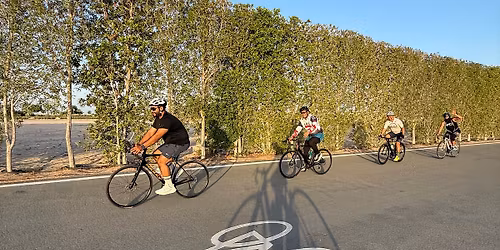 Morning Cycling in Abu Dhabi