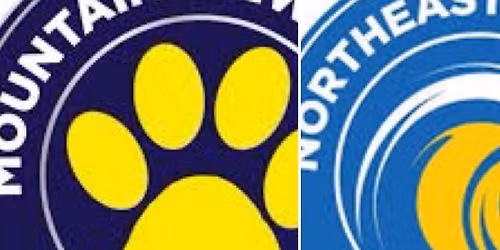 Mountain View and Northeast Elementary Spirit Night