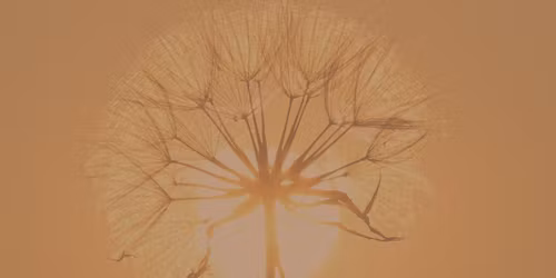 Seasons of Rest | A Restorative Journey for Body, Heart & Nervous System