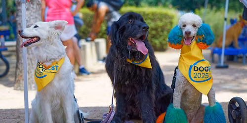 DogFest Bay Area