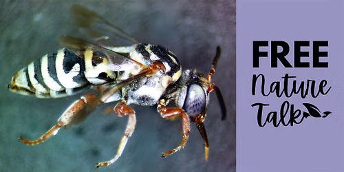 FREE Talk: "Pollinators of Managed Habitats in the RGV"